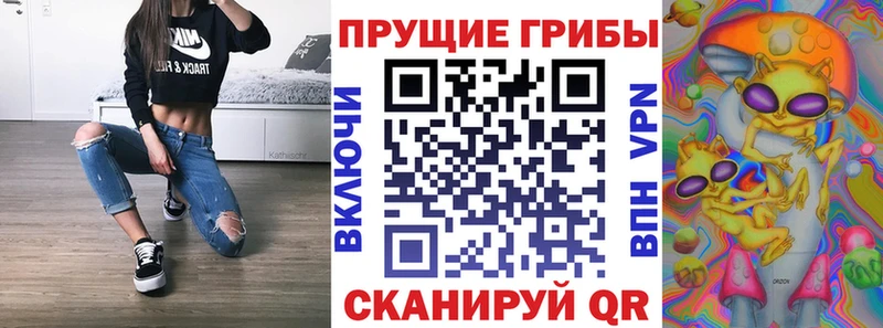 Галлюциногенные грибы Cubensis  Купить  Лесозаводск 